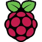 RASPBERRY PI