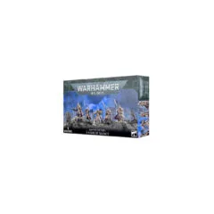 ADEPTUS CUSTODES: SISTERS OF SILENCE