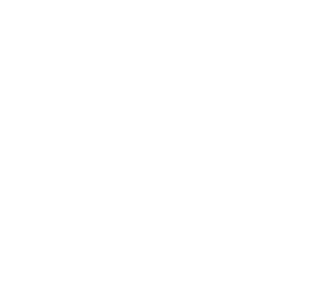 Armenius Store