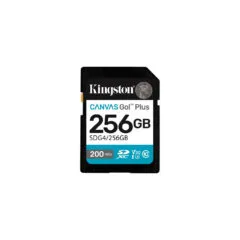 Canvas Go! Plus 256GB SDXC, memory card