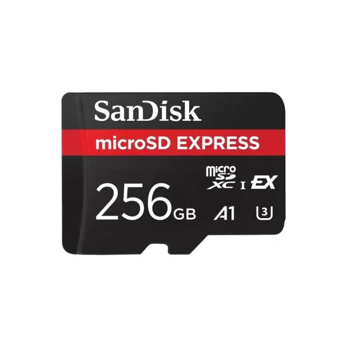CARD EXPRESS MICRO 256GB - microSD memory card — image 1