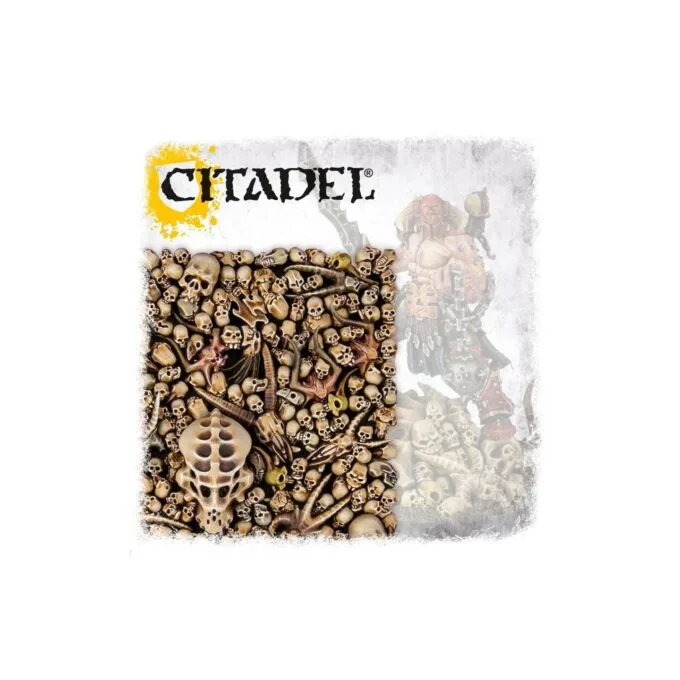 CITADEL SKULLS — image 2