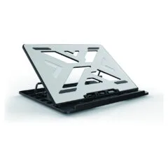 CONCEPTRONIC Laptop-Kühlpad 50Kg ERGO 15.6' gr