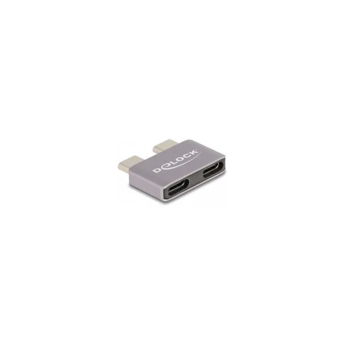 Delock Adapter USB 40 Gbps USB Type-CTM 2 x Stecker zu 2 x Buchse Portschoner Metall — image 2