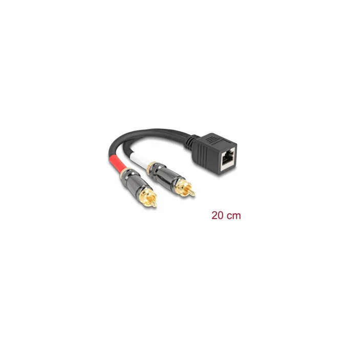 Delock Adapterkabel RJ45 Buchse zu 2 x Cinch Stecker schwarz 20 cm — image 1