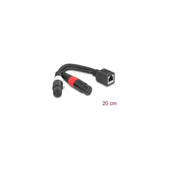 Delock Adapterkabel RJ45 Buchse zu 2 x XLR 3 Pin Buchse schwarz 20 cm — image 1