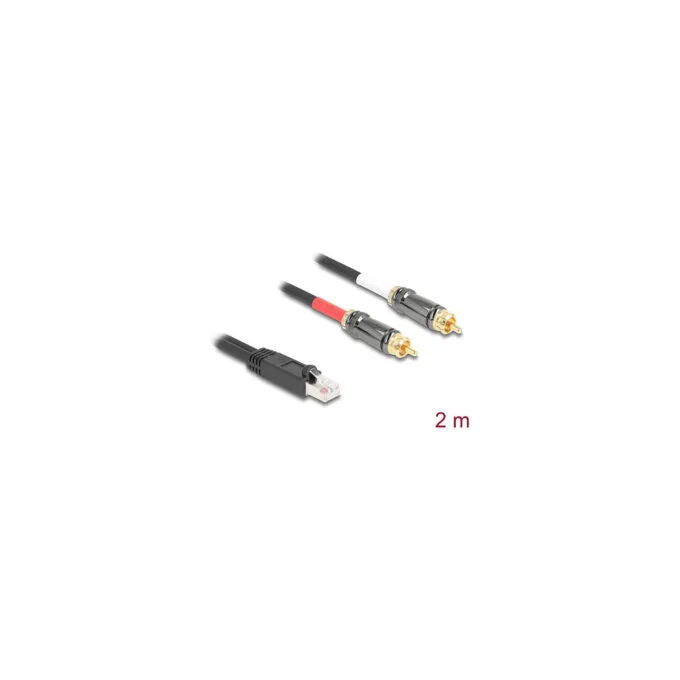 Delock Adapterkabel RJ45 Stecker zu 2 x Cinch Stecker schwarz 2 m — image 2