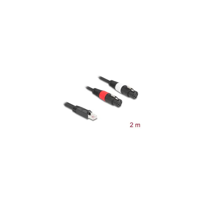 Delock Adapterkabel RJ45 Stecker zu 2 x XLR 3 Pin Buchse schwarz 2 m — image 2