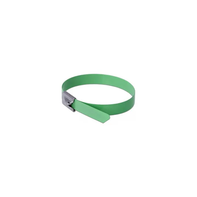 Delock Edelstahlkabelbinder L 200 x B 7.9 mm grün 10 Stück — image 1