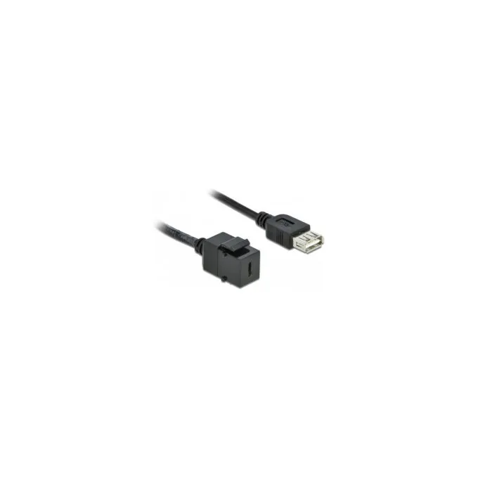 Delock Keystone Modul USB 2.0 C Buchse to USB 2.0 A Buchse mit Kabel — image 2