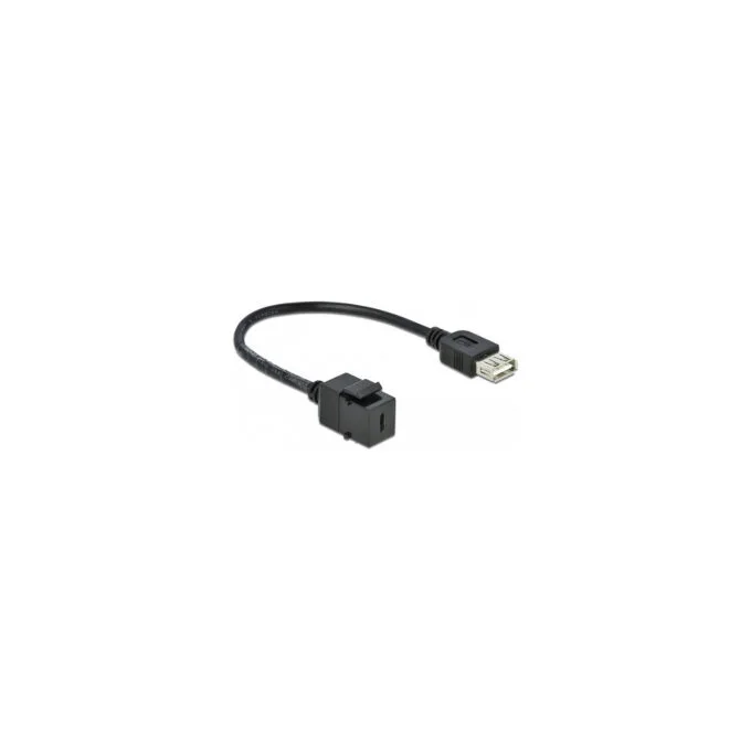 Delock Keystone Modul USB 2.0 C Buchse to USB 2.0 A Buchse mit Kabel — image 1