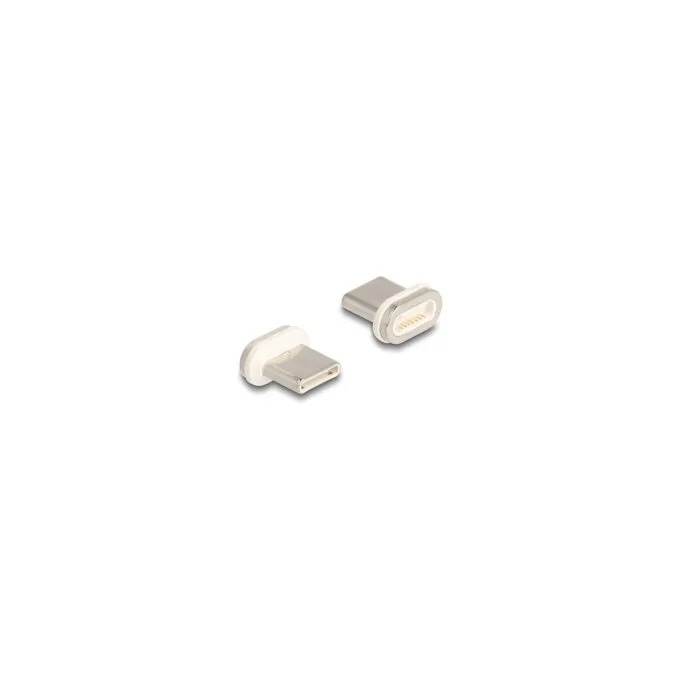 Delock Magnetischer Adapter USB Type-CTM Stecker — image 1