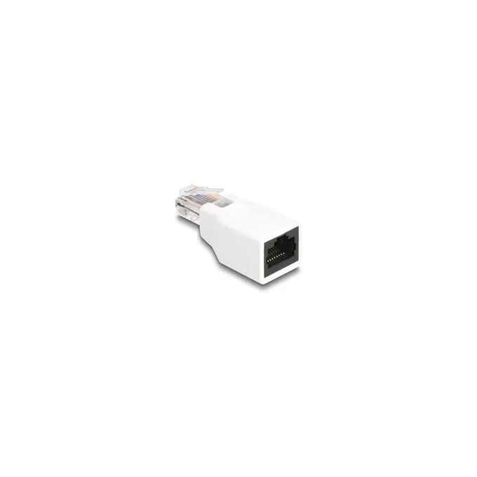 Delock RJ50 Adapter Stecker zu Buchse weiß — image 1