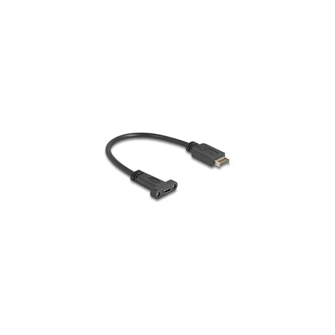 Delock USB 10 Gbps Kabel USB Typ-E Key A 20 Pin Stecker zu USB Type-CTM Buchse zum Einbau 25 cm — image 1