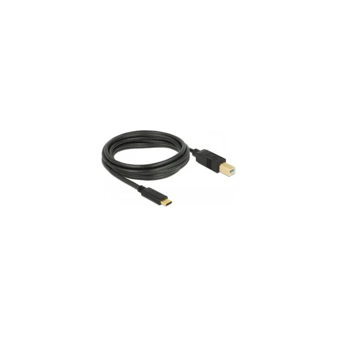 Delock USB 2.0 Kabel Type-C zu Typ-B 3 m — image 1
