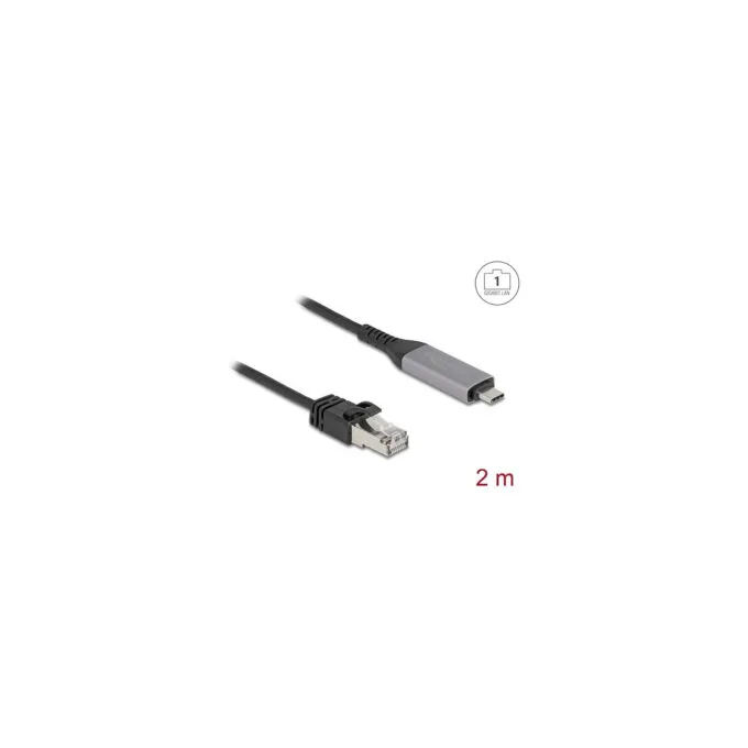 Delock USB LAN Kabel USB Type-CTM zu RJ45 Gigabit Ethernet 2 m — image 2