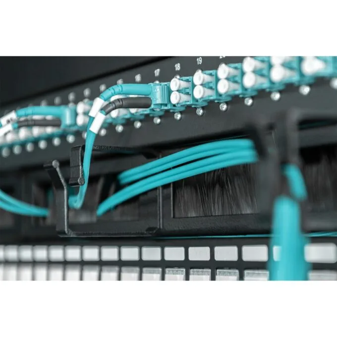 DIGITUS Cable Management Panel 1U 19 inch with Brush Entries - Black, Steel — image 2