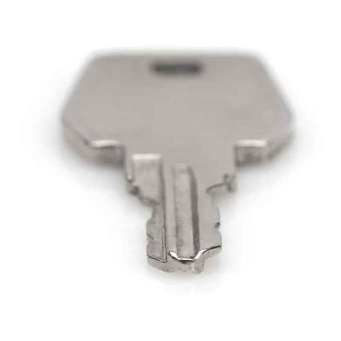 Digitus Key for Network- and Server Cabinets - 9473 - Black, Metallic — image 4