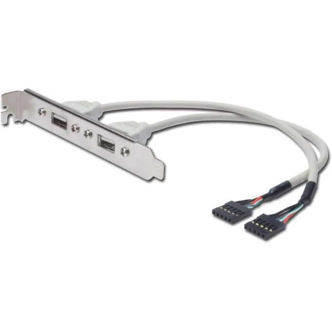 DIGITUS Slotblech 2xUSB A to IDC 2x5Pin - 0.25 m USB 2.0 Cable UL2725 — image 1