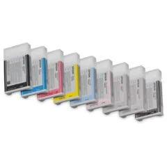 Epson - C13T603700 - light black HC