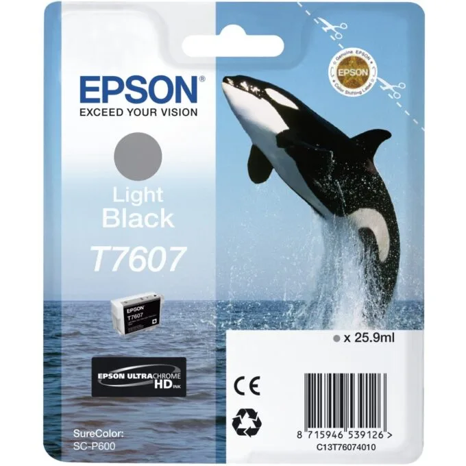 Epson - C13T76074010 - Light Black — image 1