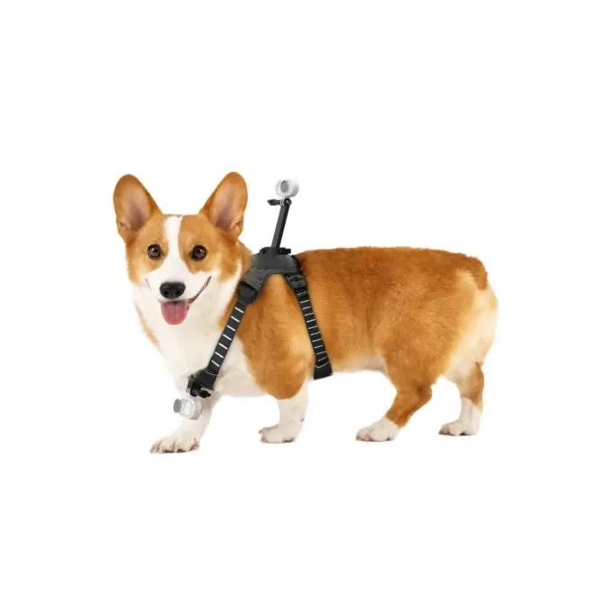 Insta360 Go 3 Go 3S Pet Harness Mount - Size M — image 1