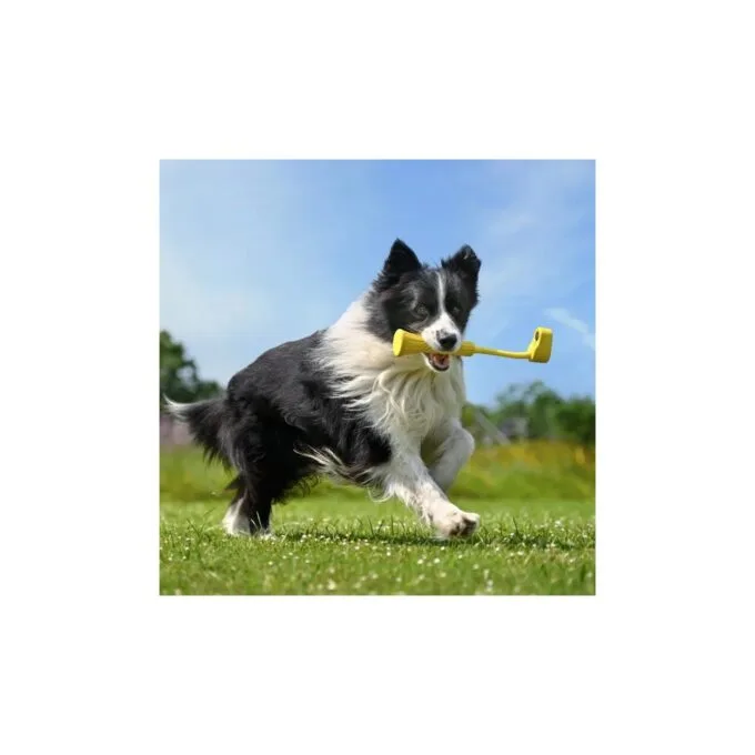 Insta360 GO Fetch Stick - GO 3 - Fetch Stick — image 5