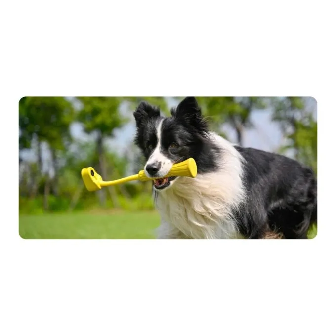 Insta360 GO Fetch Stick - GO 3 - Fetch Stick — image 6