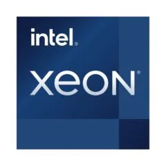 Intel Xeon E-2378 - 8-Core 16-Thread LGA1200 CPU - CM8070804495612 (Tray)