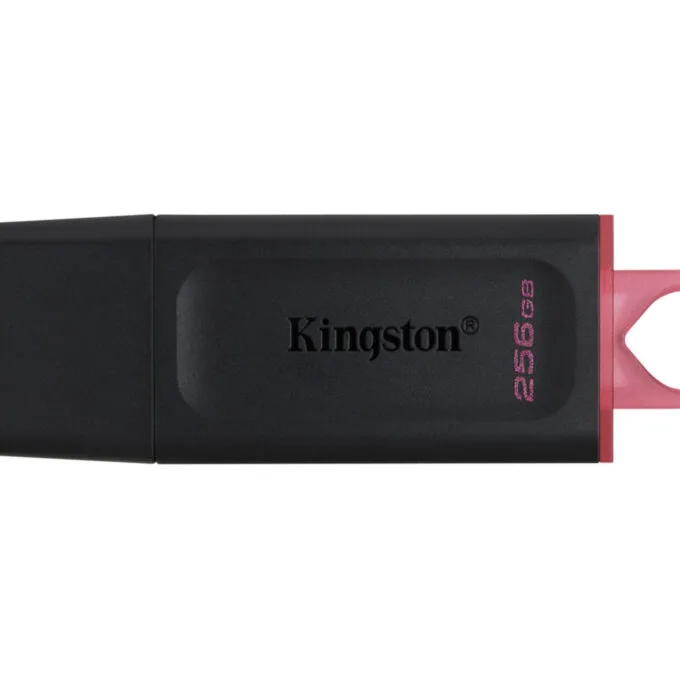 Kingston DataTraveler Exodia - DTX - 256GB USB 3.2 Gen1 (USB-A) - Black / Pink — image 1