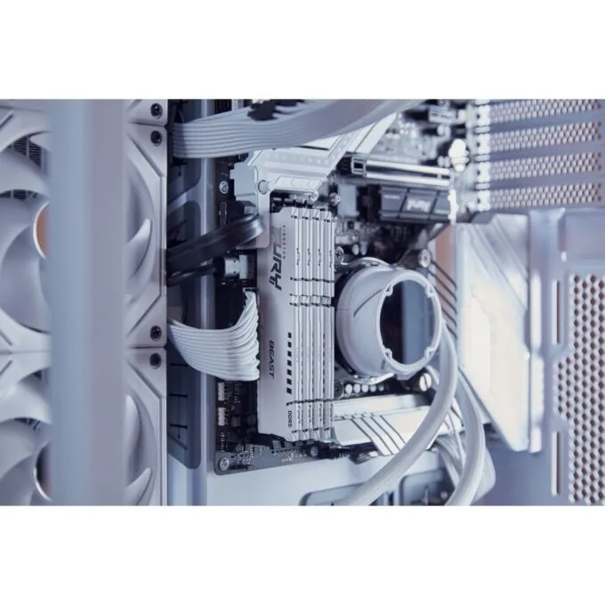 KINGSTON FURY Beast 32GB DDR5 5600 MT/s CL40 White XMP — image 6