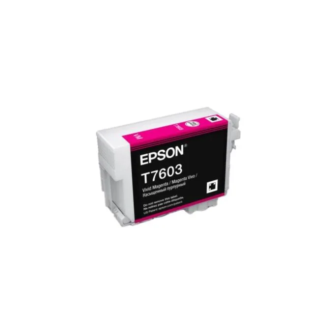 Magenta tints T7603 - C13T76034N10 - — image 2