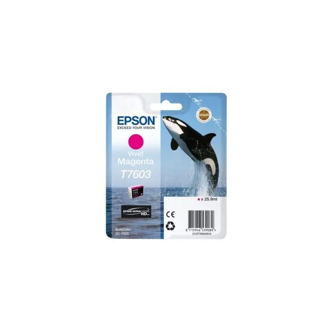 Magenta tints T7603 - C13T76034N10 - — image 1