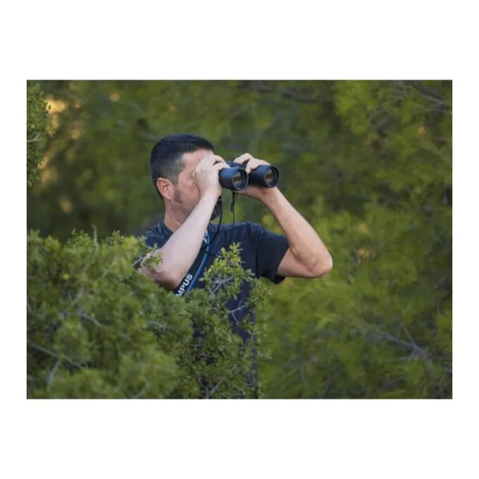 Olympus Binoculars 8x40 S - Case & Strap Included — image 15