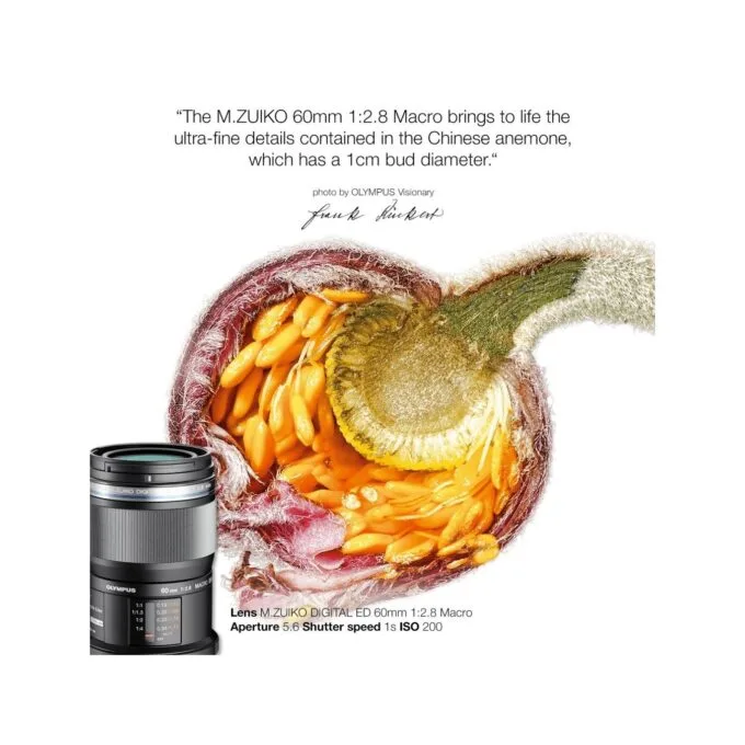 Olympus M.Zuiko Digital 60mm f/2.8 Macro - EM-M6028 - Black, Micro Four Thirds — image 5