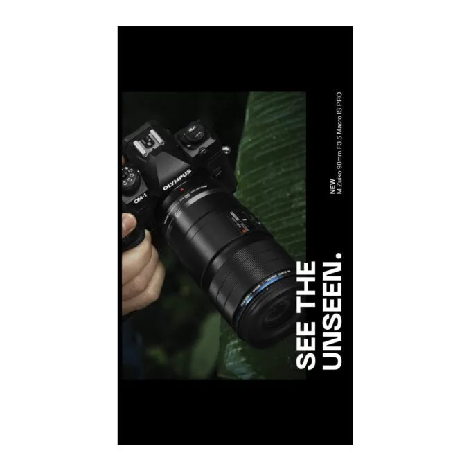 Olympus M.Zuiko Digital ED 90mm F3.5 Macro IS PRO - 90mm Macro Lens with IS PRO — image 9