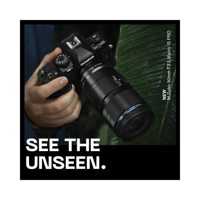 Olympus M.Zuiko Digital ED 90mm F3.5 Macro IS PRO - 90mm Macro Lens with IS PRO — image 12
