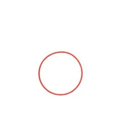 Olympus O-ring - POL-058 - for PT-058 PT-059