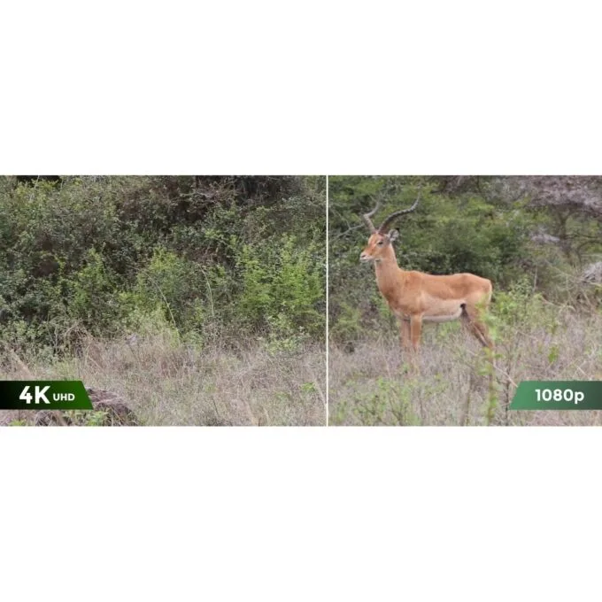 Reolink Outdoor Battery Camera - BP4G - 4K PTZ GO Ranger PT + Solar — image 5