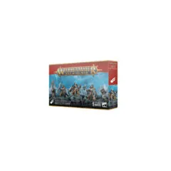 STORMCAST ETERNALS: RECLUSIANS