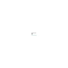 VoIP Advanced Option - Lizenz - 10 gleichzeitige VoIP-Leitungen