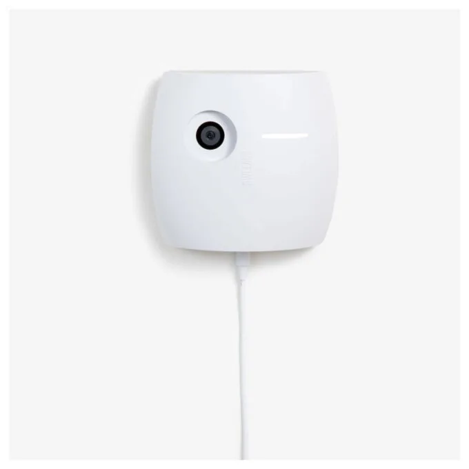 WHITEBOARD OWL — image 1