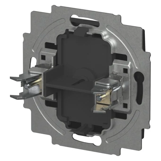 BUSCH JAEGER BJ 2538-915 Blindzentralscheibe mit Tragring Busch-balance® SI — image 3