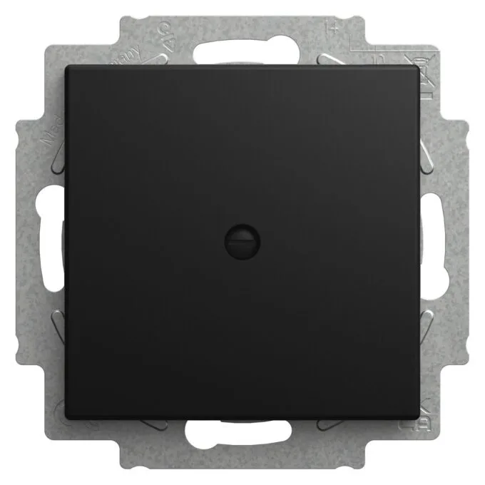 BUSCH JAEGER BJ 2538-915 Blindzentralscheibe mit Tragring Busch-balance® SI — image 1
