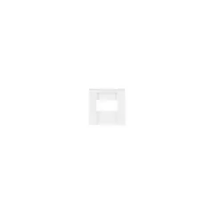 BUSCH JAEGER BJ 2539-914 Zentralscheibe aws Busch-balance SI Abd.Datenkommunikation