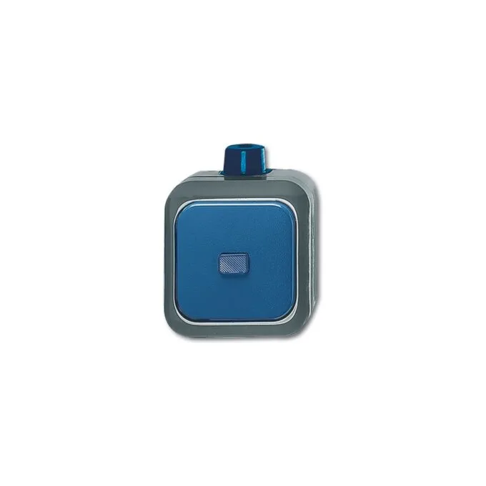 BUSCH JAEGER BJ 2601 6WDI Wippschalter Wechsel- Schalter Busch-Duro 2000 WDI IP66 — image 1