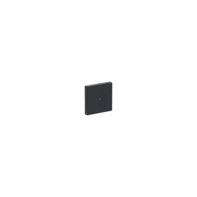BUSCH JAEGER BJ 6230-10-885 Wippe 1f schwarz matt Busch-free@home future linear — image 3