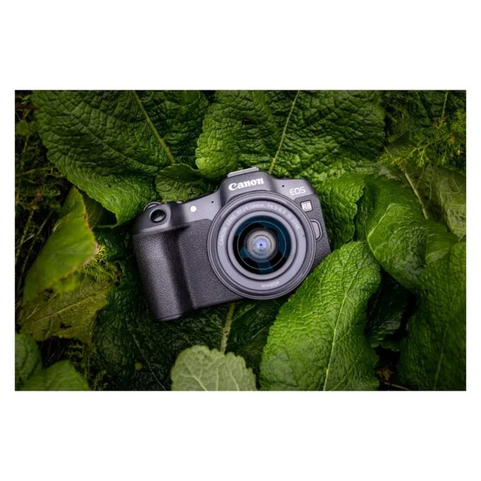 Canon Digitalkamera EOS R8 — image 15