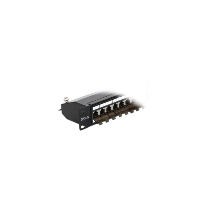 Delock 19? Patchpanel 24 Port Cat.6A schwarz — image 3