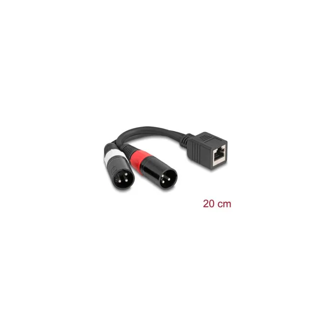 Delock Adapterkabel RJ45 Buchse zu 2 x XLR 3 Pin Stecker schwarz 20 cm — image 1